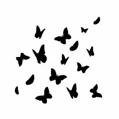Butterfly Silhouette on White...