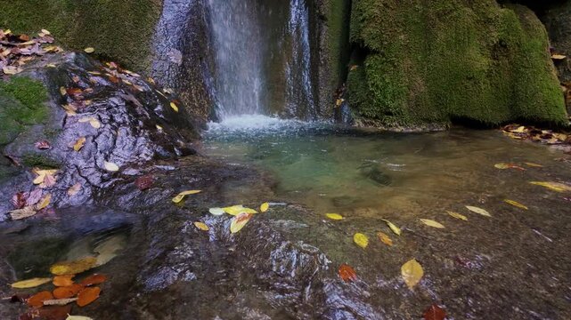 Autumn waterfall scene with yellow leaves floating on crystal water, filmed in slow motion for relaxing natural atmosphere