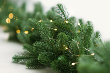 Christmas tree branches composition cut out, Blurred bokeh background with light bulbs on a light background. Merry christmas and new year holidays background