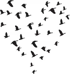 Flying Birds Flock Vector.eps