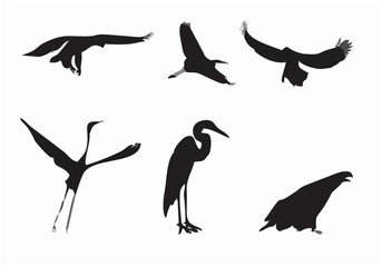 set of silhouettes of birds