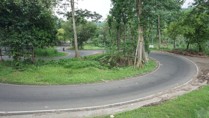 winding road in the forest