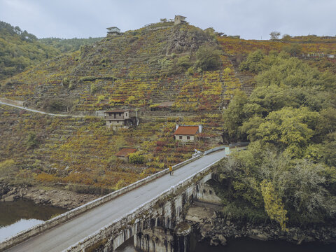 Aerial view of terraced vineyards cascading down the hillsides, overlooking a bridge and river below, with structures dotting the landscape, Chantada, Lugo, Spain.