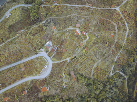 Aerial view of terraced vineyards and scattered red-roofed houses create a patchwork of autumnal hues, etched with winding roads and paths, Chantada, Lugo, Spain.