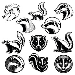 
Vector set of logos, icons, symbols, and skunk silhouettes