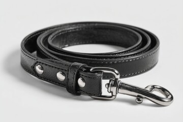 Adjustable pet collar and leash set with metal clasp coiled on white background