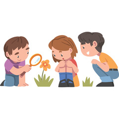 Three Children Observe A Flower With Magnifying Glass In A Field With Green Grass And Blue Sky Background On A Sunny Day