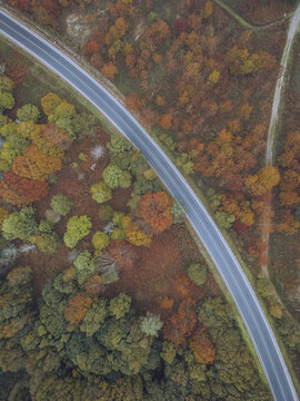Aerial view of a road cutting through a tapestry of autumnal hues, where fiery reds and oranges meet deep greens in a vibrant dance of color, A Ca&Atilde;&plusmn;iza, Pontevedra, Spain.
