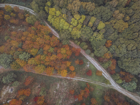 Aerial view of autumn's vibrant tapestry of orange, yellow, and green foliage contrasting against the winding roads below, A Ca&Atilde;&plusmn;iza, Pontevedra, Spain.