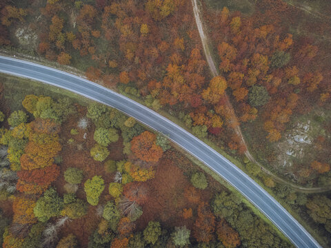 Aerial view of a road slicing through vibrant autumn foliage, a tapestry of fiery reds, oranges, and greens creating a breathtaking contrast, A Ca&Atilde;&plusmn;iza, Pontevedra, Spain.