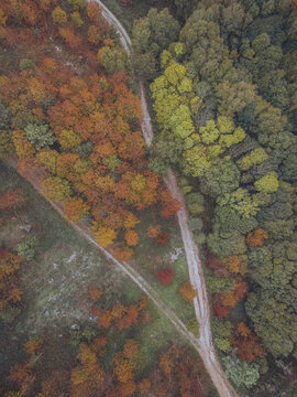 Aerial view of a winding path slicing through a vibrant tapestry of autumnal colors, where fiery oranges meet verdant greens in a stunning natural contrast, A Ca&Atilde;&plusmn;iza, Pontevedra, Spain.