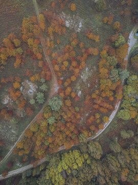 Aerial view of autumnal foliage ablaze in fiery hues, painting the landscape with strokes of gold, amber, and crimson, divided by winding trails, A Ca&Atilde;&plusmn;iza, Pontevedra, Spain.