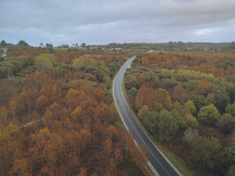 Aerial view of a sinuous road cutting through a vibrant tapestry of autumn foliage, where fiery oranges and muted greens meet under a brooding sky, A Ca&Atilde;&plusmn;iza, Pontevedra, Spain.