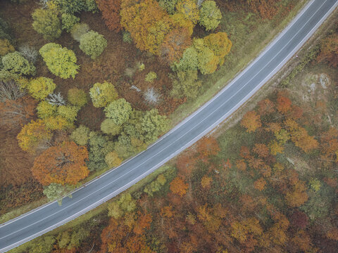 Aerial view of a winding road cuts through a tapestry of autumnal hues, where fiery oranges and golden yellows meet deep greens, A Ca&Atilde;&plusmn;iza, Pontevedra, Spain.