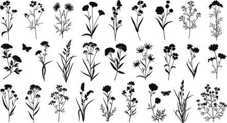 Botanical Wildflower Silhouettes Vector Set, Meadow Plants Herbs Floral Design Elements, Natural Decoration