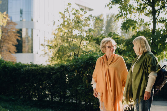 Two senior women enjoying a conversation in a sunny park - Powered by Adobe
