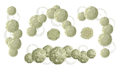 Tree for architectural floor plans. Entourage design. Various trees, bushes, and shrubs, top view for the landscape design plan. Vector illustration.