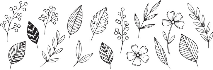 Hand-drawn botanical elements including leaves flowers and berries in a simple line art style for natural designs and decorations