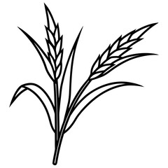 ears of wheat