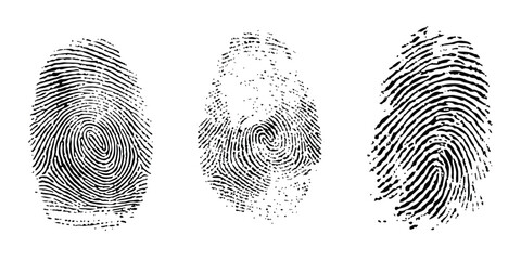 Set of three unique black fingerprint patterns for security and identification