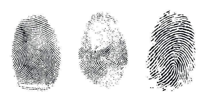 Set of three unique black fingerprint patterns for security and identification