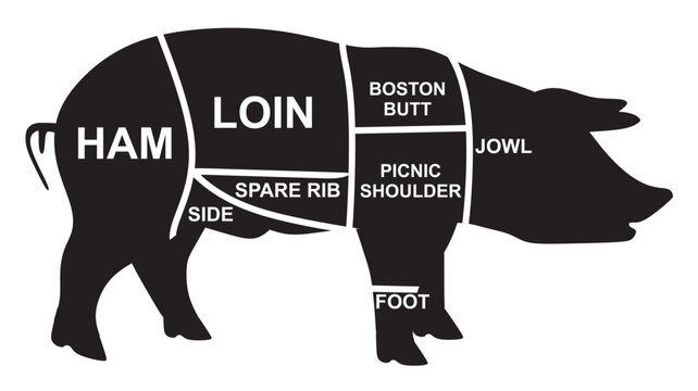 Pork meat diagram. vector illustration	

