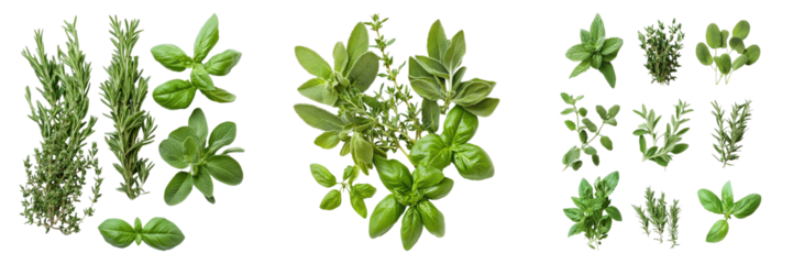 An assortment of vibrant green herbs, perfect for culinary use, arranged artfully