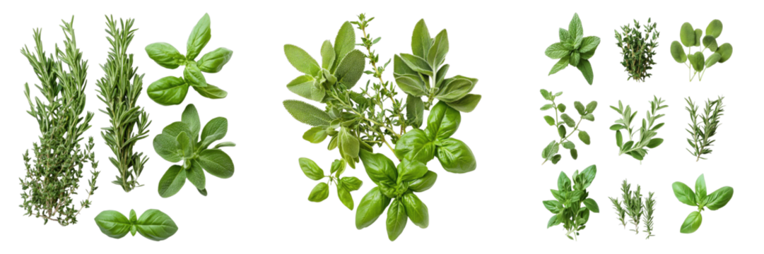 An assortment of vibrant green herbs, perfect for culinary use, arranged artfully