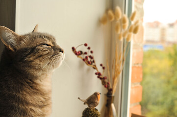 Autumn photo with a cat on the windowsill.
