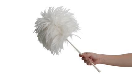 hand holding fluffy feather duster  . Isolated on transparent background, png