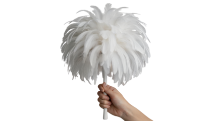 person's hand holding a duster made of soft feathers . Isolated on transparent background, png