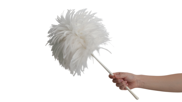 hand holding fluffy feather duster  . Isolated on transparent background, png