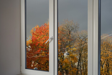 View from the window  on yellow treesin a garden, landscape with autumn forest, window frame.