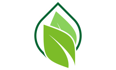 icon leaf nature logo design illustration