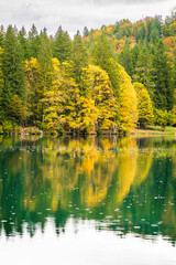 Solo trip to the Fusine's lakes. Autumn version 
