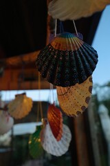 Seashells painted with paint, the work of pilgrims on the Way of Santiago