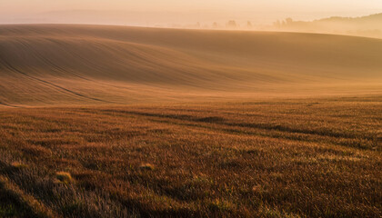 Sun-drenched rolling fields embracing the morning mist-a tranquil agricultural landscape bathed in soft, atmospheric light, conveying a peaceful and minimalist mood