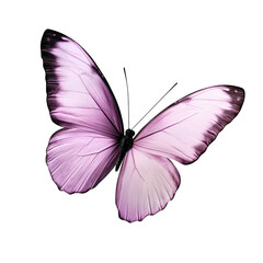 A beautifully detailed. purple butterfly with intricate wing patterns resting gracefully against a clean. white background. ideal for nature-themed design projects and educational materials