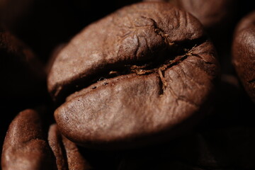 Isolated of coffee bean, Brown roasted coffee beans seeds isolated, coffee bean isolate, white background, bean isolated on white