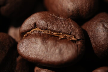 Isolated of coffee bean, Brown roasted coffee beans seeds isolated, coffee bean isolate, white background, bean isolated on white