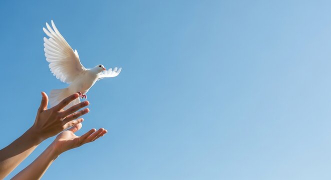 Dove of Peace Released into the Sky as a Symbol of Hope.