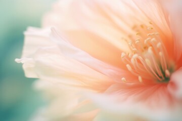 Naklejka premium Blossom flower pollen petal plant.