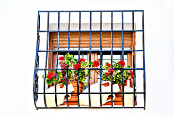 Typical window with grilles on a white wall with baskets of flowers. Altea, Alicante