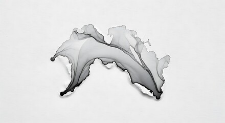 Abstract black and white ink splatter mimicking a winged creature on a white background