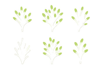 Stylized green plant sprigs and outlines on a clean white background