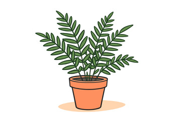 Lush green houseplant with foliage in classic terracotta container