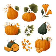 An Icon illustration, Vibrant Country Pumpkin Collection isolated on a white background, vector, simple flat 2D icon, minimalist design, EPS format simple illustration	