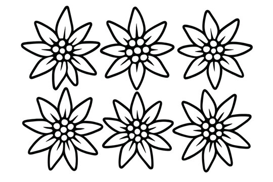 Six stylized edelweiss flower outline icons arranged in a repeating pattern