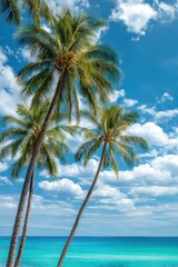 Vibrant tropical scene with three tall palm trees on a white sand beach and turquoise sea