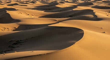 Sweeping Sand Dunes - A Desert Landscape of Shadows and Light.